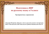Презентация по русскому языку на тему Подготовка к ВПР