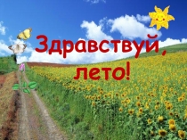 ПРЕЗЕНТАЦИЯ на тему ЗДРАВСТВУЙ ЛЕТО