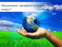 Презентация проекта Как прекрасен этот мир...