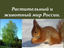 Растительный и животный мир России