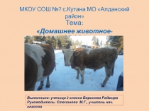 Презентация Домашнее животное - корова