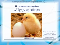Презентация Чудо из яйца