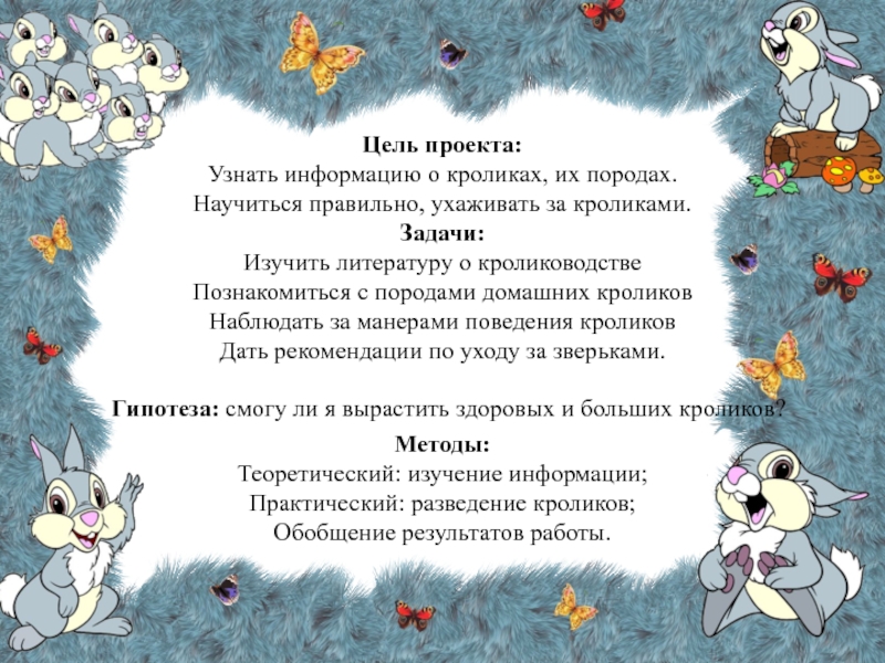 Презентация к исследовательскому проекту на тему: Как я научился ухаживать за кроликами Цель проекта: Узнать информацию о кроликах, их породах. Научиться правильно, ухаживать Цель проекта: Узнать информацию о кроликах, их породах. Научиться правильно, ухаживать за кроликами. Задачи: Изучить литературу