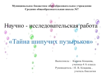 Презентация - защита к реферату на тему Тайна шипучих пузырьков