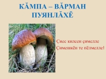 Презентация к уроку чувашского языка на тему: КĂМПА – ВĂРМАН ПУЯНЛĂХĔ.