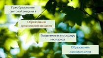 Презентация по биологии ФОТОСИНТЕЗ
