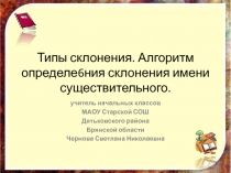 Презентация по русскому языку Типы склонения. Алгоритм определения склонения имён существительных