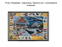 Презантация:  Помоги птицам выжить!