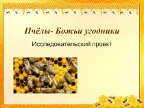 Информационный проект Пчёлы - Божьи угодники