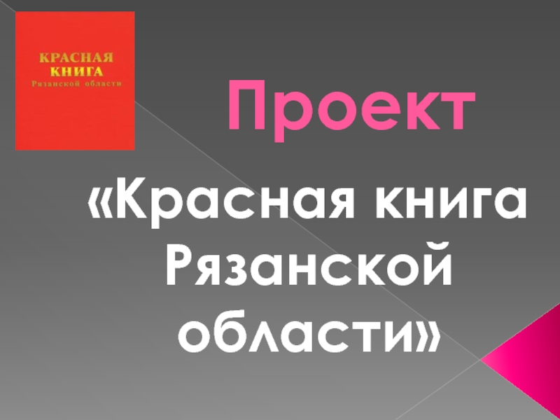 Презентация Презентация проекта по окружающему миру Красная книга Рязанской области