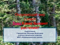 Какие бывают растения.Окружающий мир 2 класс