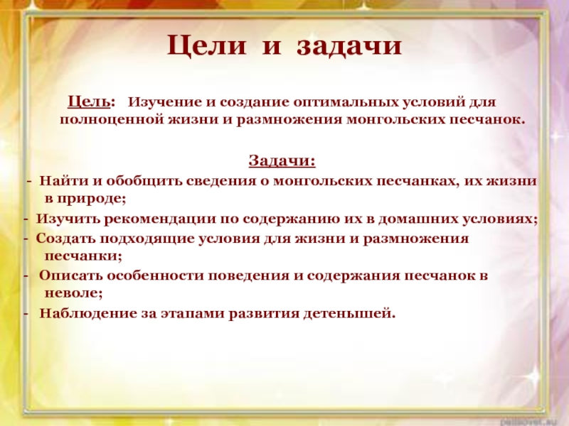 Презентация проекта Монгольские песчанки Цели и задачиЦель: Изучение и создание оптимальных условий для полноценной жизни Цели и задачиЦель: Изучение и создание оптимальных условий для полноценной жизни и размножения монгольских песчанок. Задачи: -
