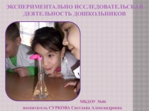 Презентация Экспериментально исследовательская деятельность дошкольников