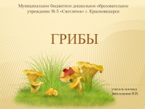 Презентация по лексической теме Грибы для детей старшего дошкольного возраста.