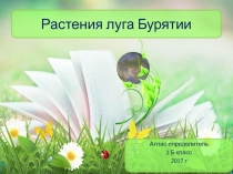 Презентация по окружающему миру Растения луга Бурятии 2 класс