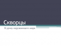 Презентация по окружающему миру