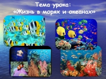 Презентация к уроку по биологии Жизнь в морях и океанах, 5 класс