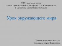 Конспект и презентация к уроку окружающего мира по теме Столица России(2 класс)