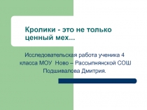 Исследовательская работа  Кролики-это не только ценный мех