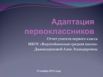 Отчет учителя 1 класса об адаптации