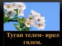 Туган телем- иркә гөлем.