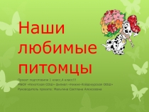 Презентация-проект по окружающему миру на тему Наши любимые питомцы