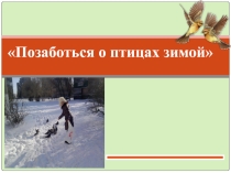 Презентация по окружающему миру Позаботься о птицах зимой