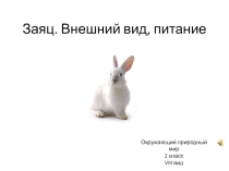 Презентация по окружающему миру на тему Заяц. Внешний вид, питание (2 класс VIII вид)