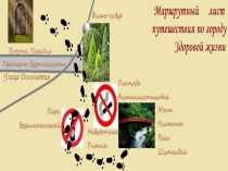 Презентация к уроку Береги здоровье смолоду