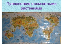 Презентация по кружку Цветоводство на тему Путешествие с комнатными растениями