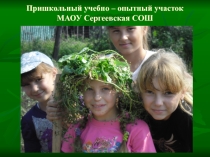 Презентация по теме Пришкольный учебно - опытный участок МАОУ Сергеевской СОШ