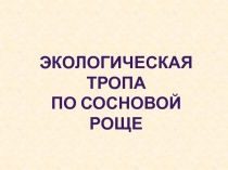 Презентация к уроку ИКН Экологическая тропа по Сосновой роще