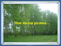 Презентация ученика 4 класса Абрамова Владислава Моя малая Родина