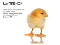Презентация для детей дошкольного возраста Цыплёнок