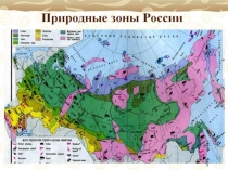 Презентация по окружающему миру на тему Смешанные и лиственные леса