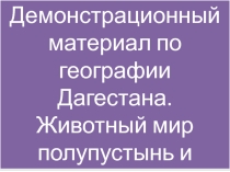 Презентация по географии Дагестана на тему: Животный мир полупустыни и пустыни Дагестана