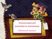Консультация для родителей по апликации Объемный нарцысс