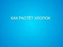 Презентация по окружающему миру на тему Как растёт хлопок