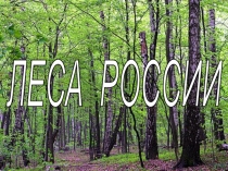 Презентация по окружающему миру на тему: Леса России
