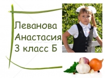 Презентация к исследовательской работе Влияние лука и чеснока на жизнедеятельность микроорганизмов