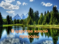 Презентация для викторины В царстве живой природы