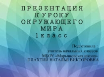 Презентация к уроку окружающий мир Почему днем светит Солнце, а звезды -ночью?1 класс