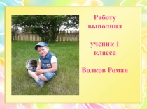 Мой домашний питомец