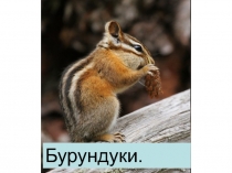 Презентация по русскому языку на тему Изложение по вопросам( 2 класс)