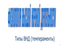 Презентация по дисциплине Анатомия и физиология человека на тему: Нервная регуляция процессов жизнедеятельности. Типы высшей нервной деятельности