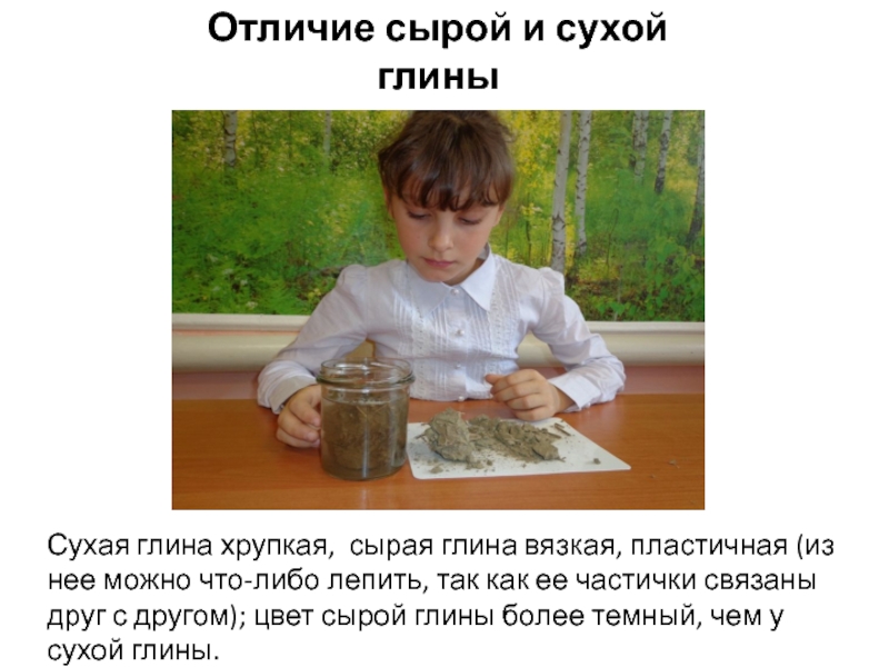 Презентация по природному краеведению на тему Применение глины в жизнедеятельности человека Отличие сырой и сухой глиныСухая глина хрупкая, сырая глина вязкая, пластичная Отличие сырой и сухой глиныСухая глина хрупкая, сырая глина вязкая, пластичная (из нее можно что-либо лепить, так
