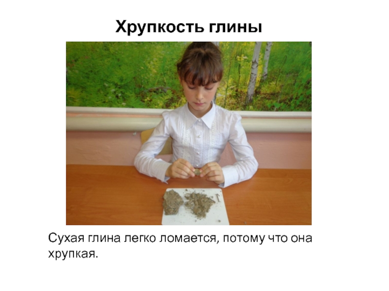 Презентация по природному краеведению на тему Применение глины в жизнедеятельности человека Хрупкость глиныСухая глина легко ломается, потому что она хрупкая. Хрупкость глиныСухая глина легко ломается, потому что она хрупкая.
