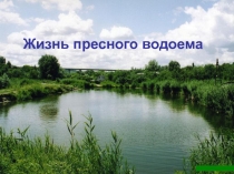 Презентация по окружающему миру на тему Жизнь пресного водоёма