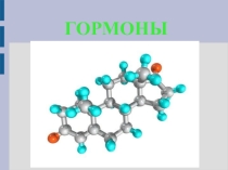 Урок по химии на тему Гормоны
