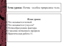 Презентация по географии. Почва - особое природное тело.